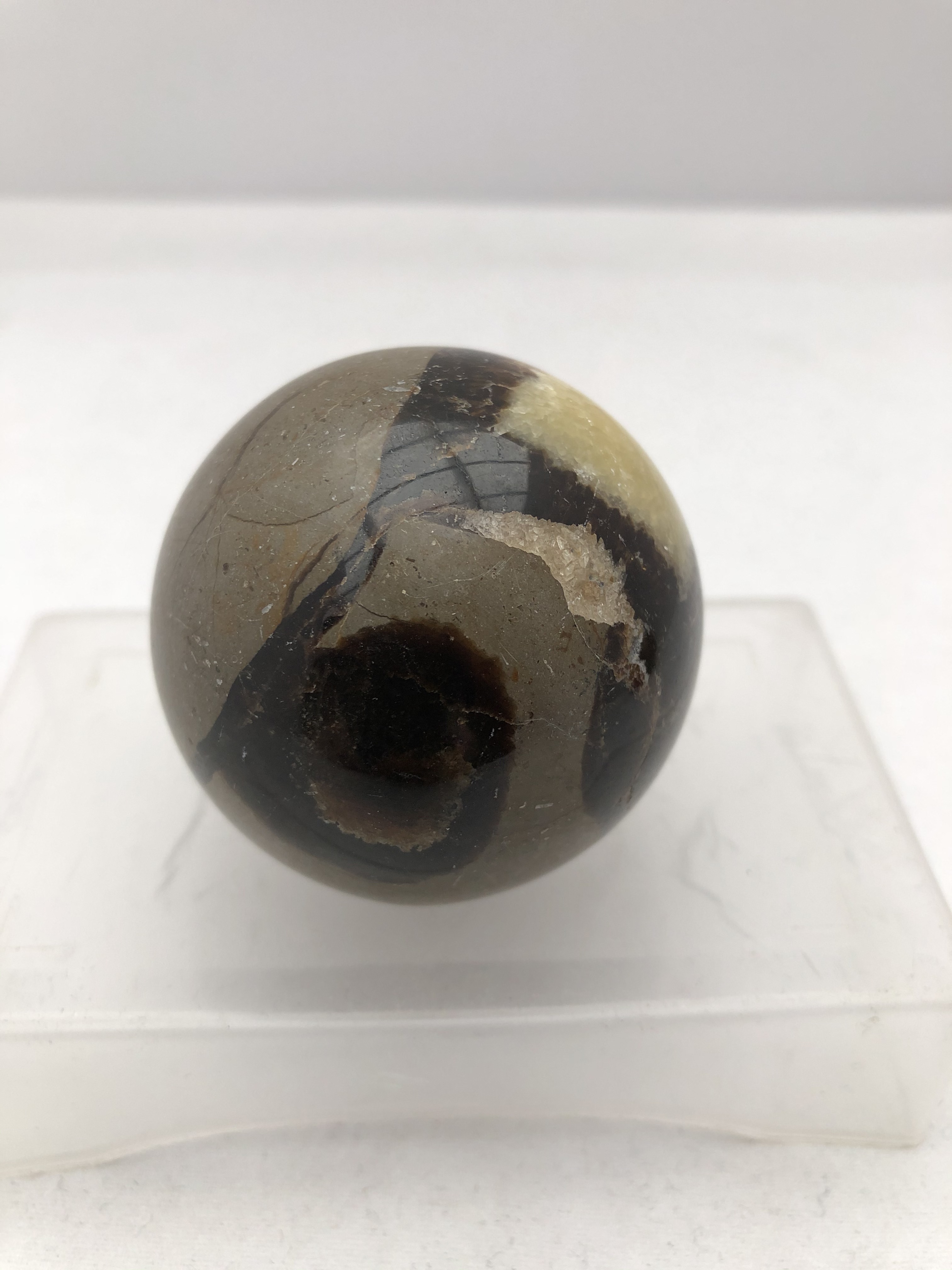 Septarian klot - 2