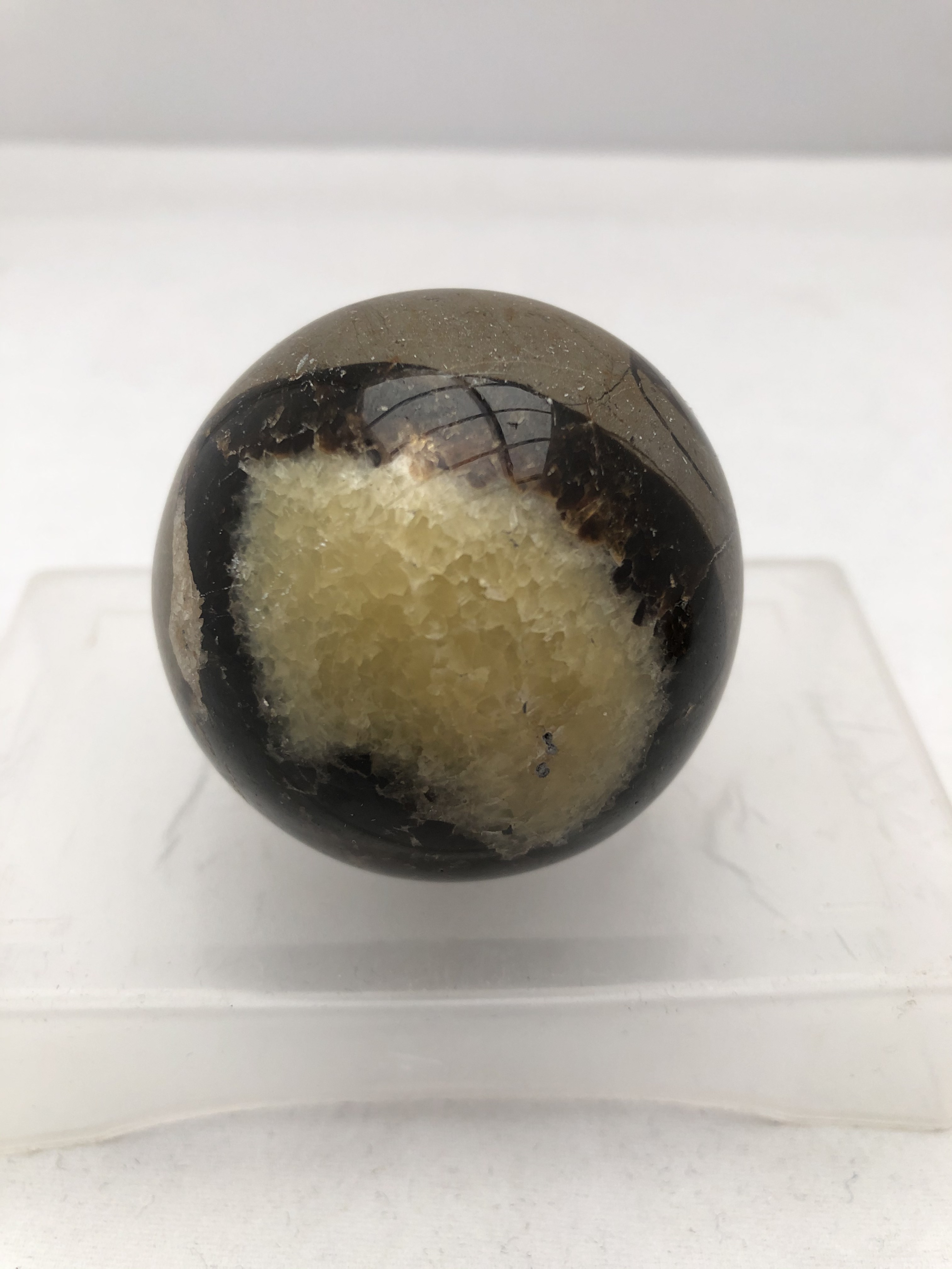 Septarian klot