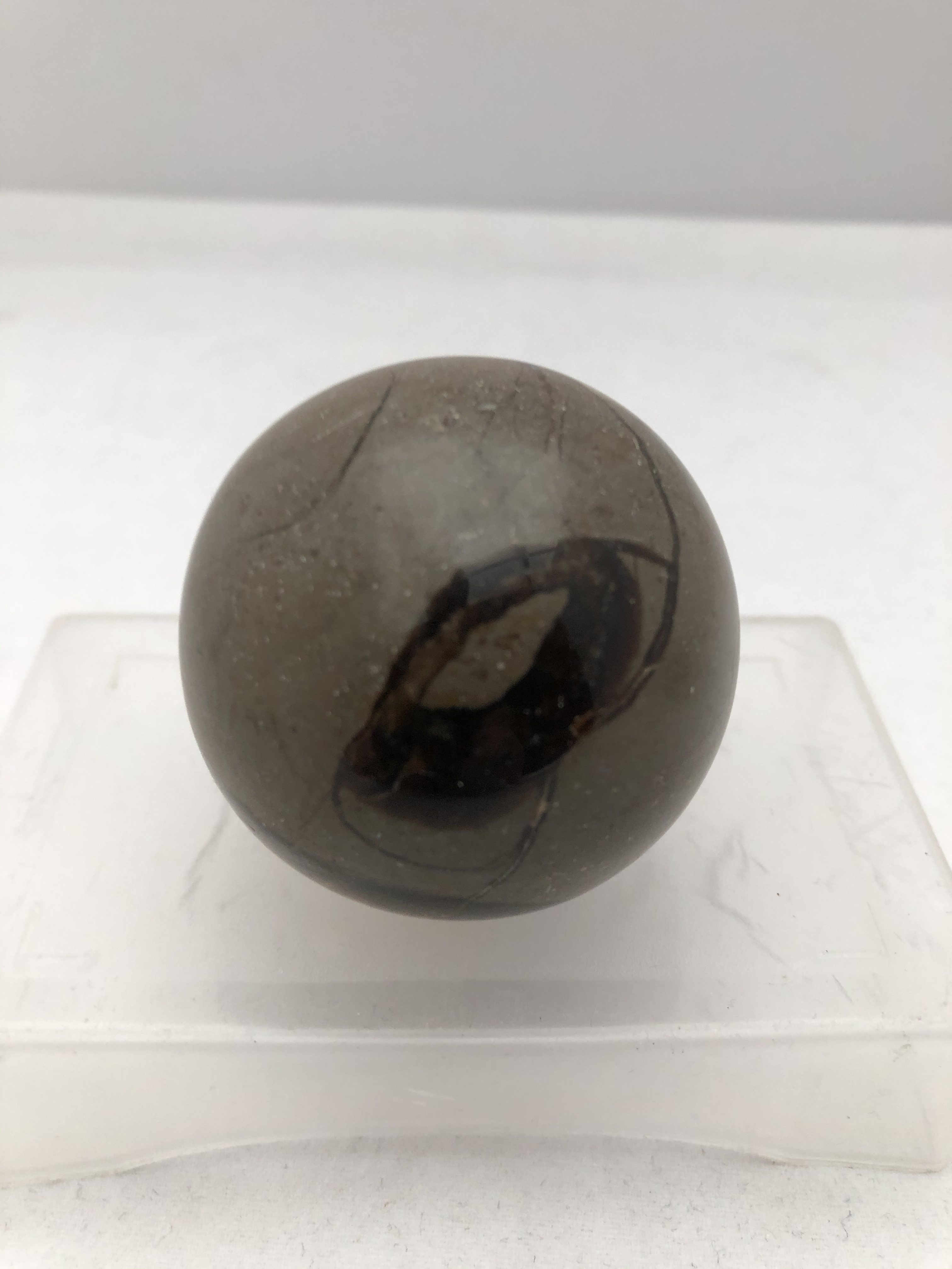Septarian klot - 3