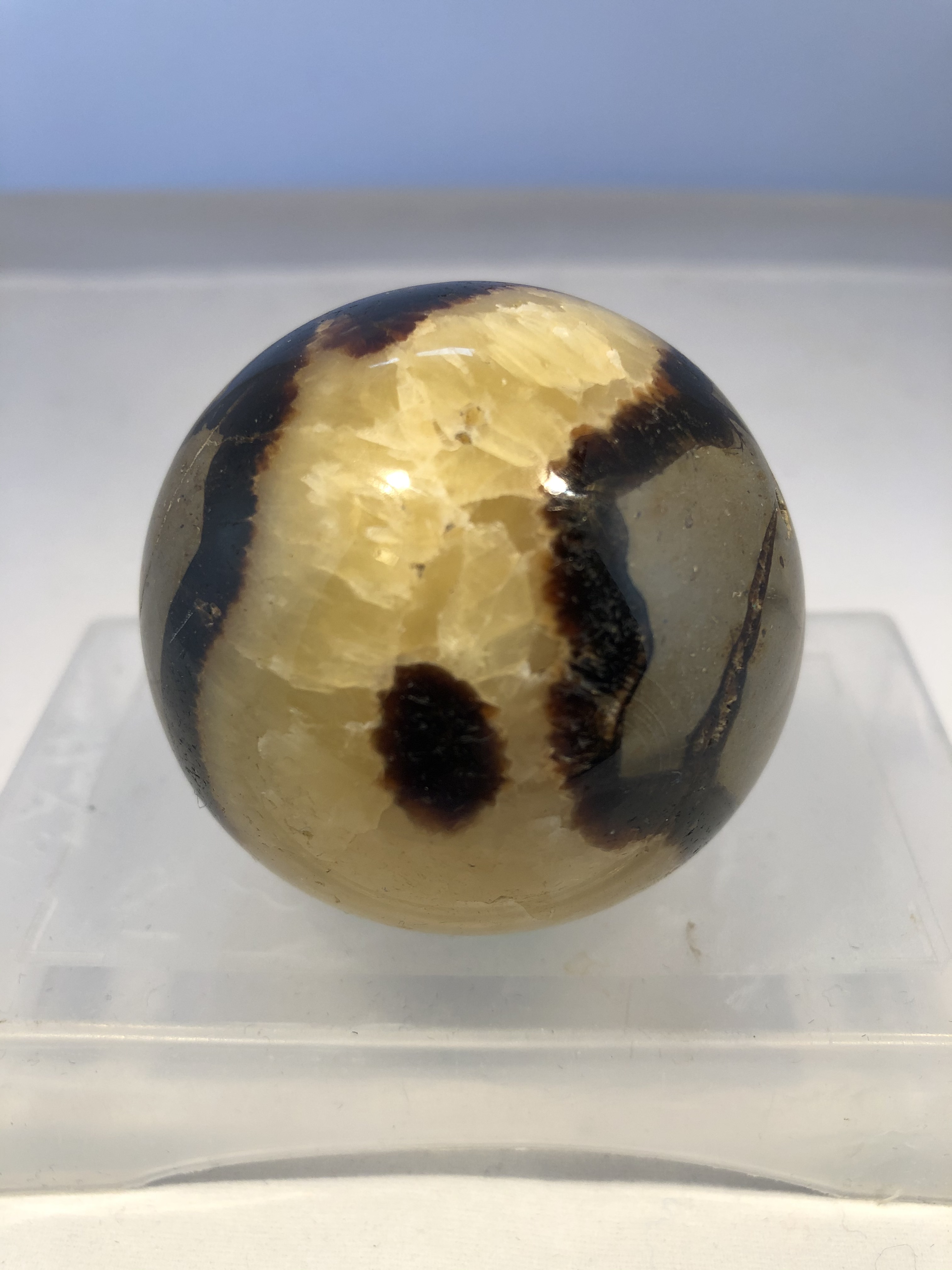 Septarian Klot