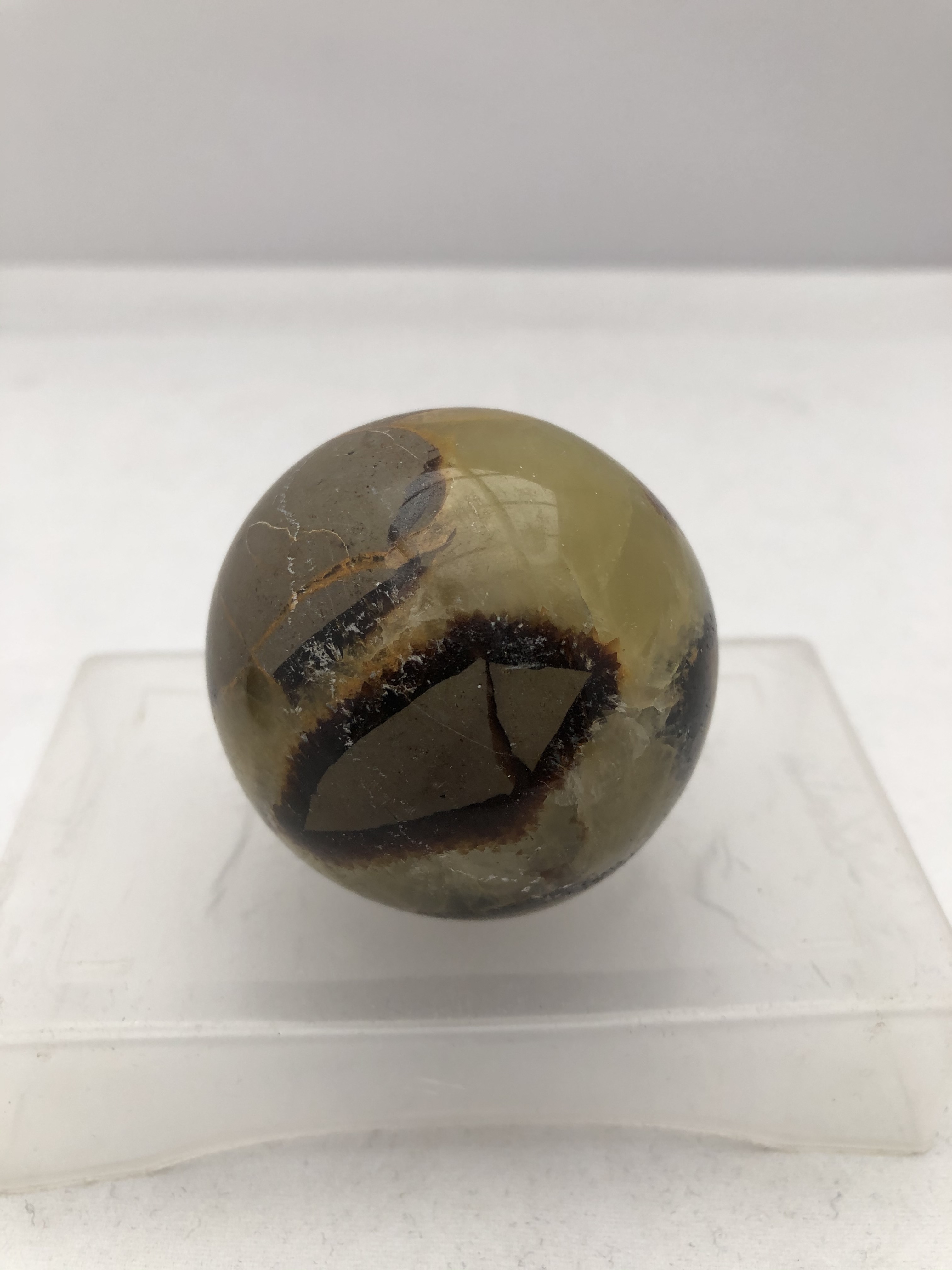 Septarian Klot - 2