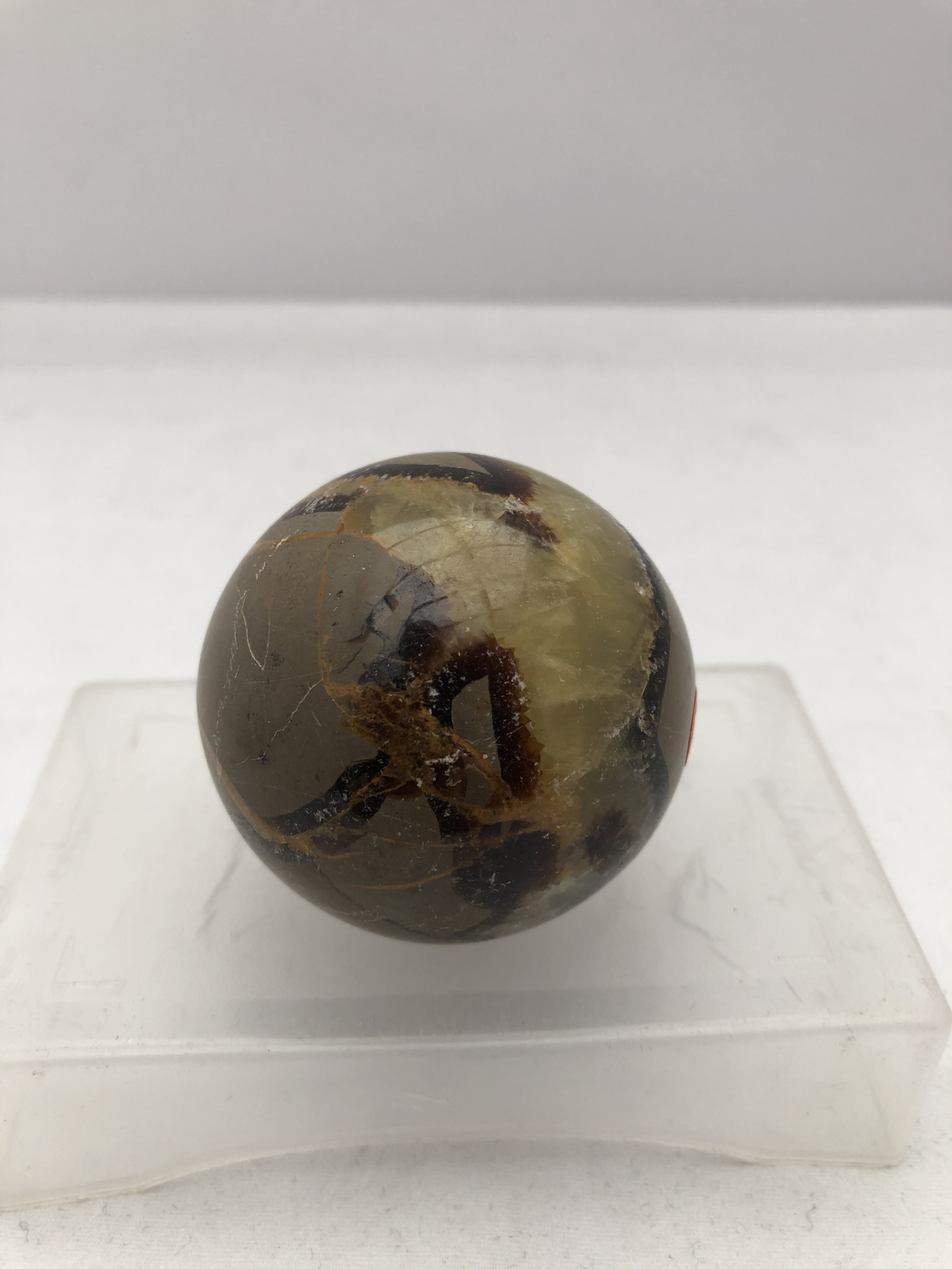 Septarian Klot - 3