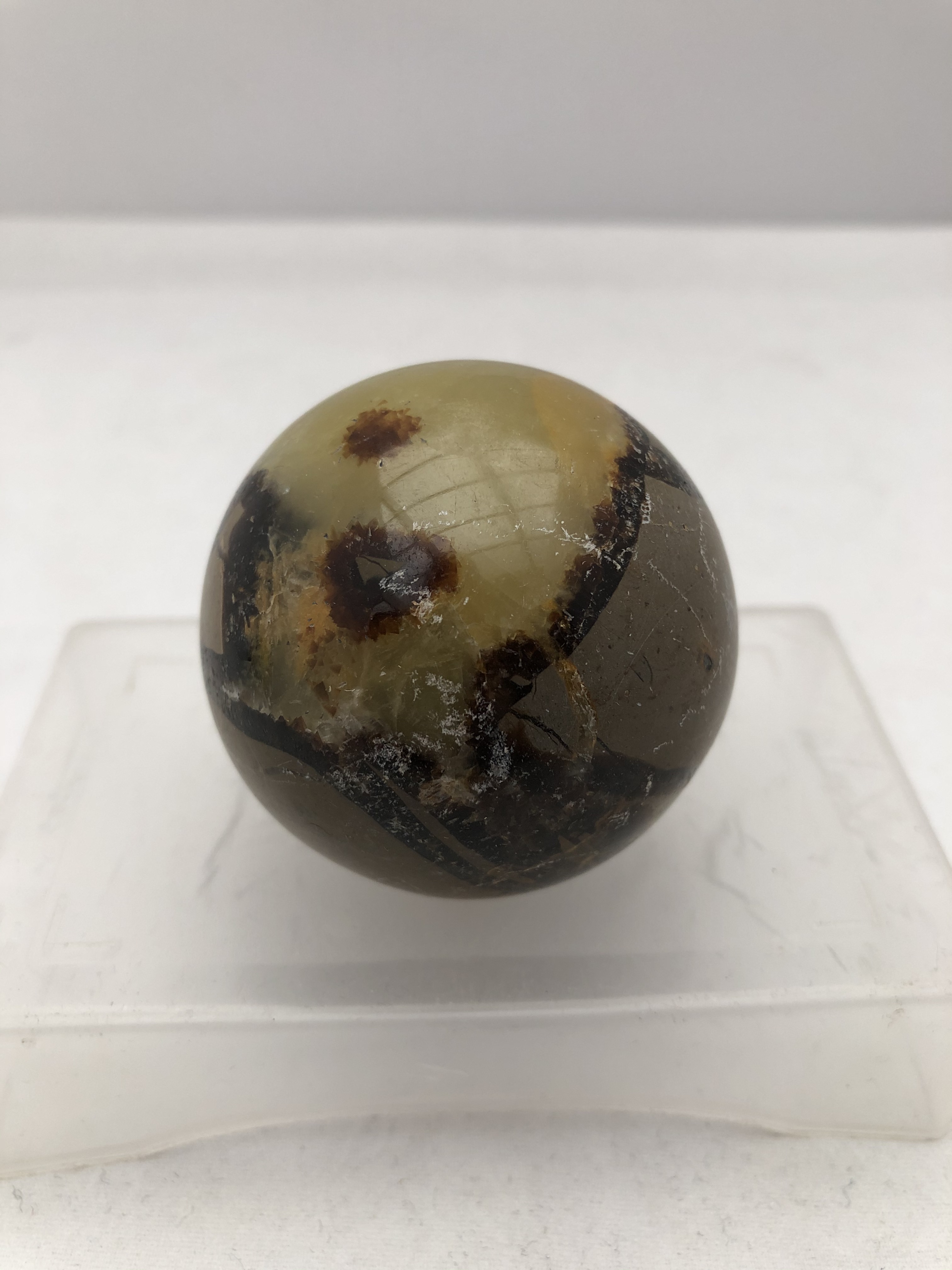 Septarian Klot
