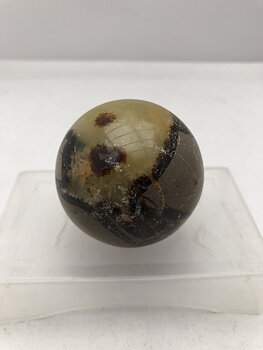 Septarian Klot