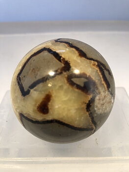 Septarian Klot