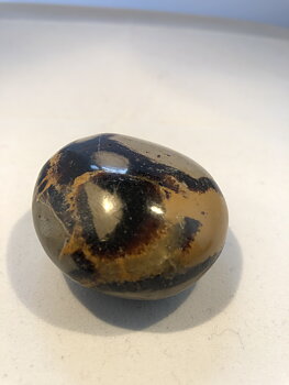 Septarian