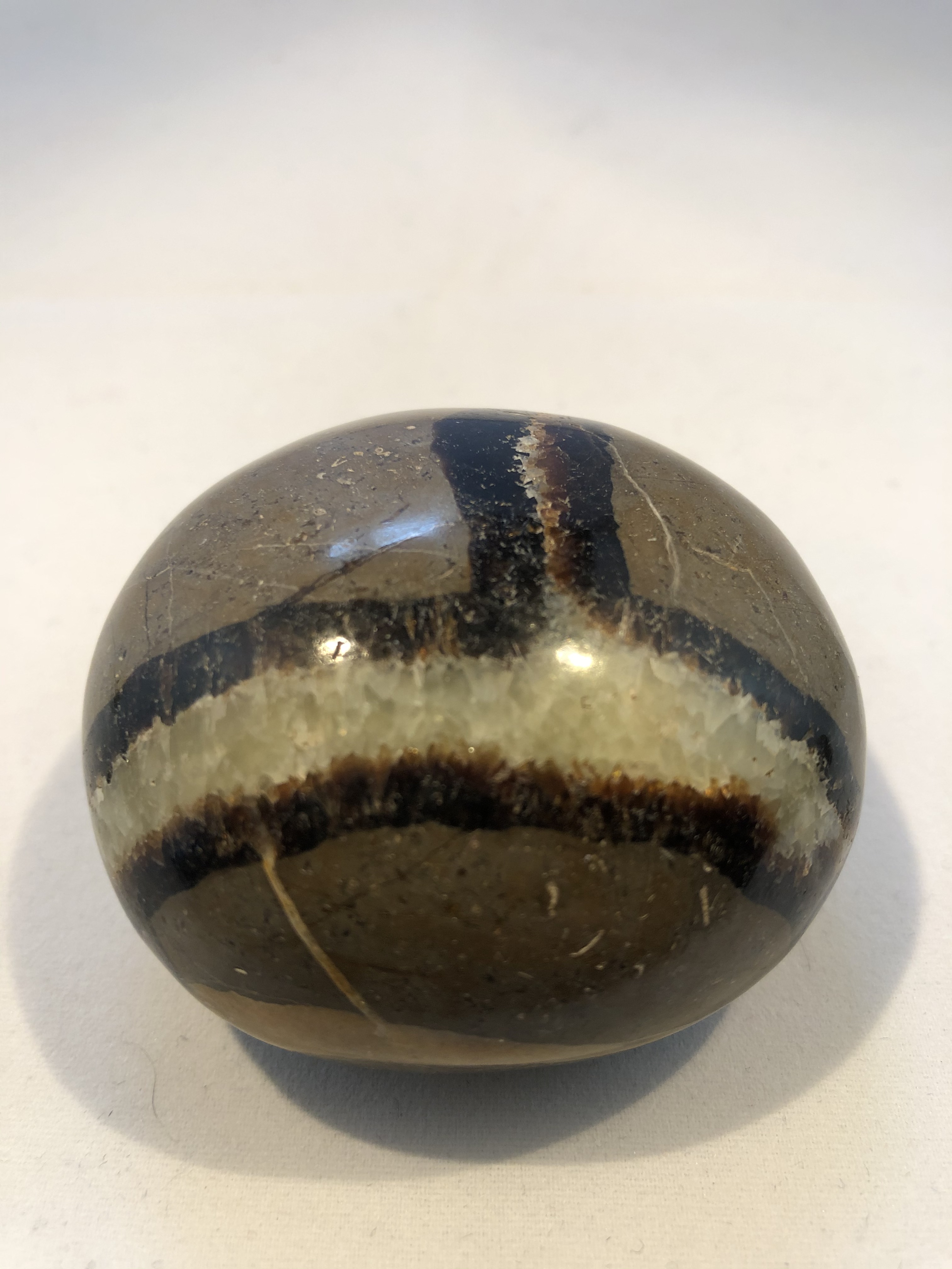 Septarian