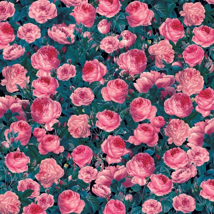 Infusible ink - Cabbage Rose, 2 ark, 12"x12", Cricut - 3