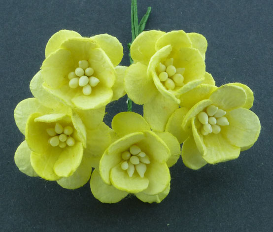 Gul, Körsbärsblomma, 10st, Mullbärspapper, 