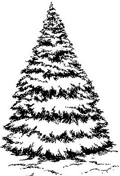 Christmas Tree With Snow, Personal Impressions