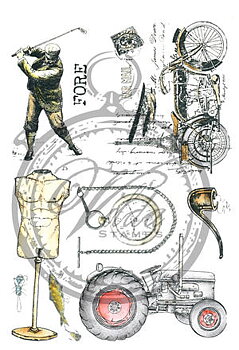 Manligt, Vilda stamps, 