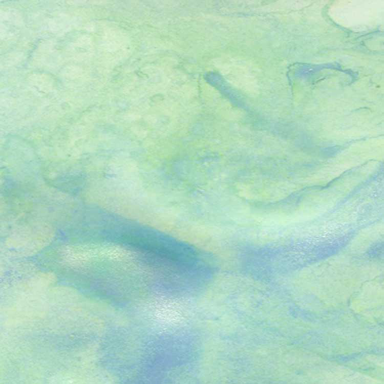 Maidenhair Fern Green, Starburst Spray, Lindy's stamp gang - 2