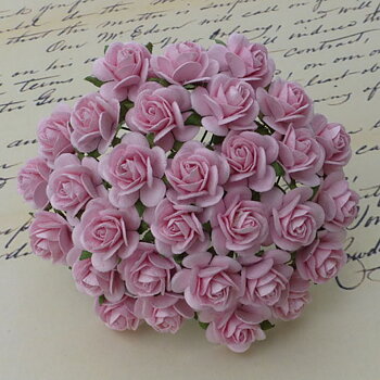 Rosa-Baby, Öppen ros, 10st, Mullbärspapper, 
