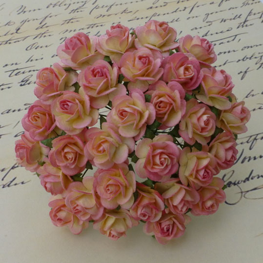 Rosa-Champagne, Öppen ros, 10st, Mullbärspapper, 