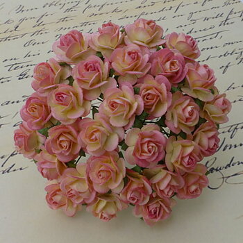 Rosa-Champagne, Öppen ros, 10st, Mullbärspapper, 