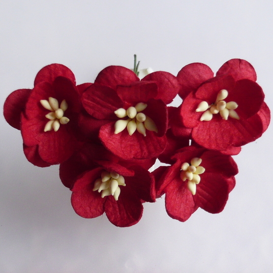 Röd, Körsbärsblomma, 10st, Mullbärspapper, 
