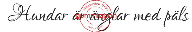 Hundar är änglar med päls, Gummiapan, 