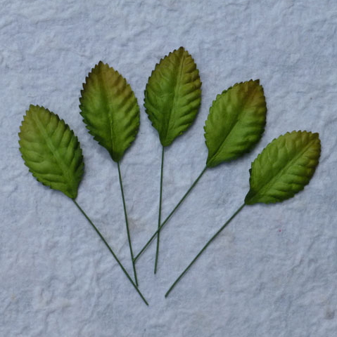 Gröna, Blad, 10st, Mullbärspapper, 