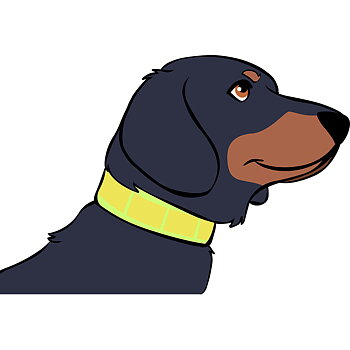 Boett Reflex Collar