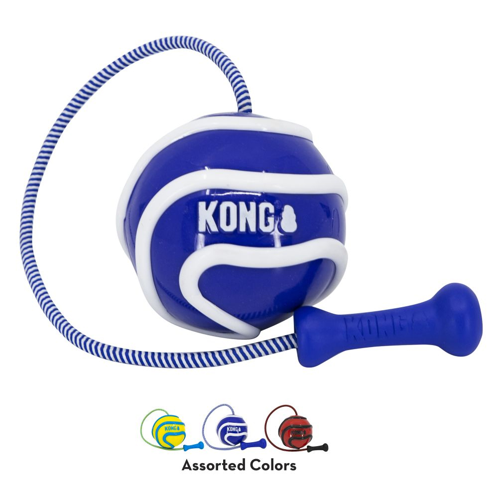 KONG Wavz Bunji Ball