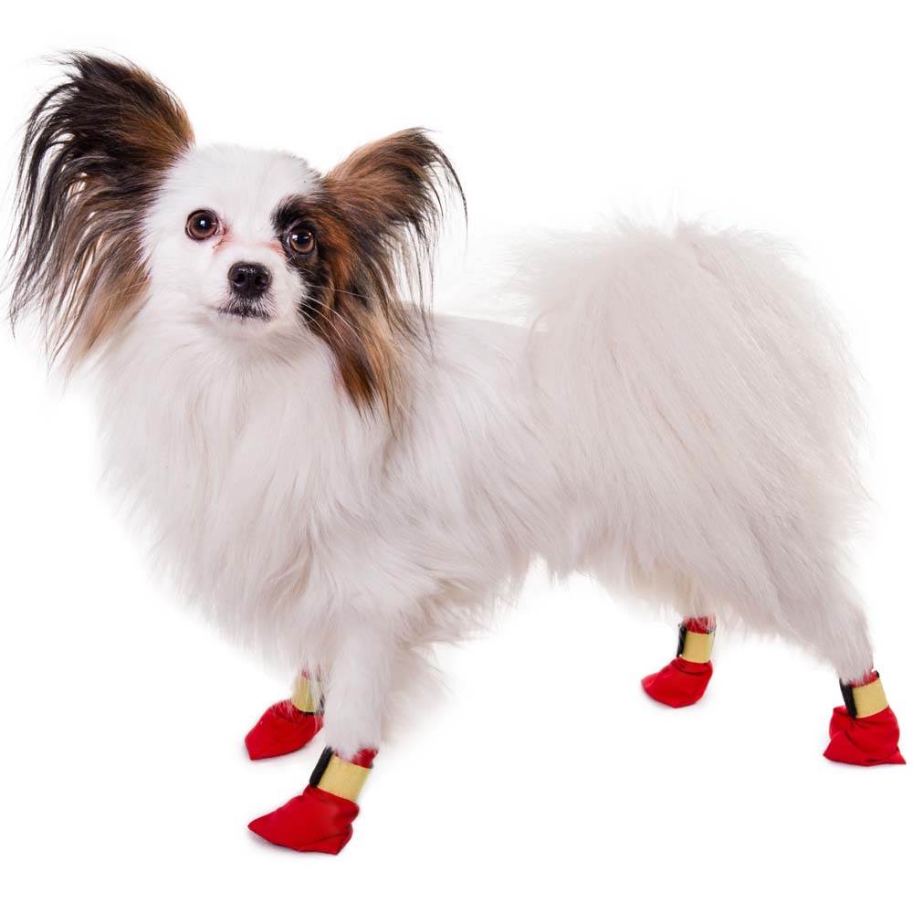 Long Distance Bootie - 4
