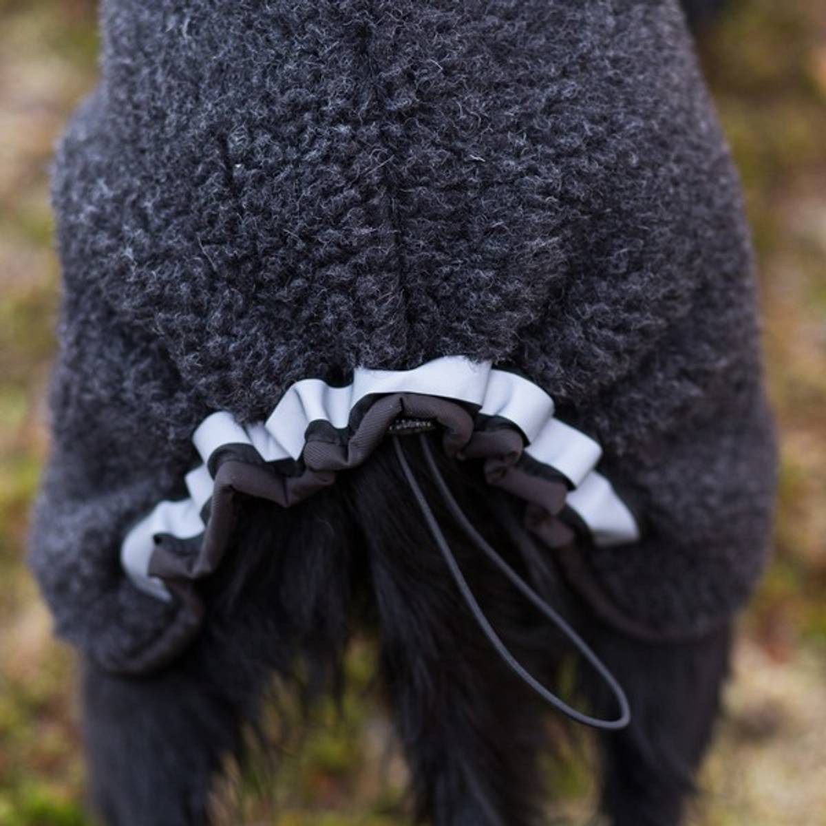 Canelana Ambassador/Selva - Wool coat Dog - 5