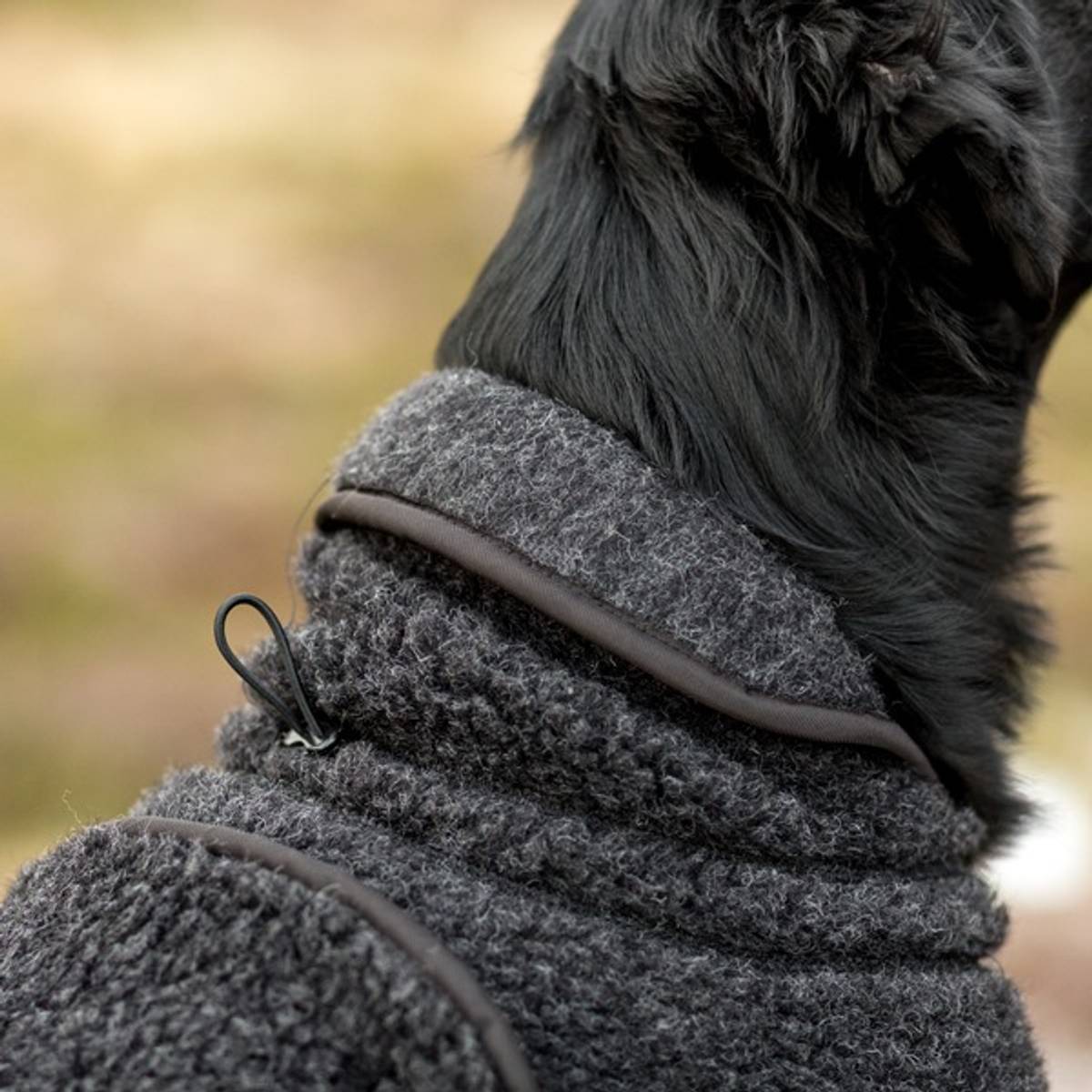 Canelana Ambassador/Selva - Wool coat Dog - 6
