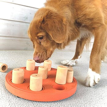 Nina Ottosson dog puzzle