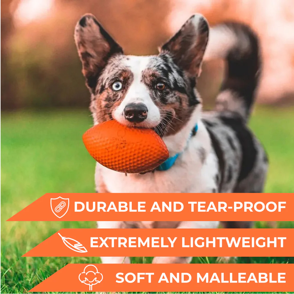 Pitch Dog – sportboll