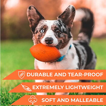 Pitch Dog – sportboll