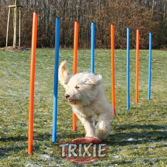 Agility Weaving poles 