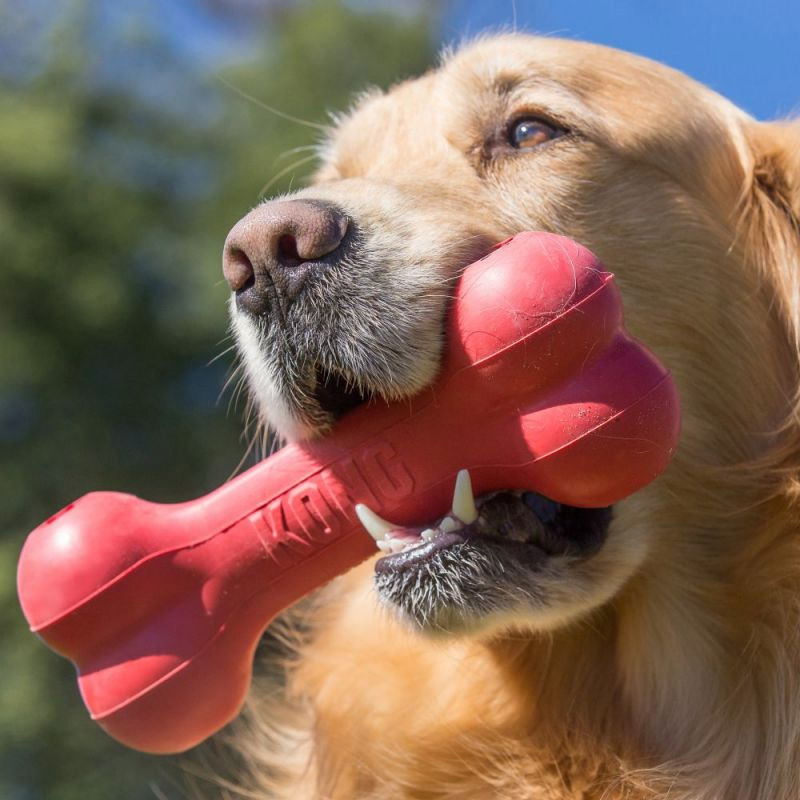 KONG Goodie Bone™  - 3