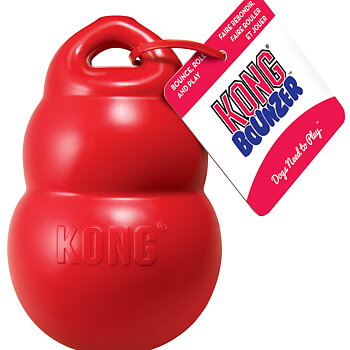 KONG Bounzer