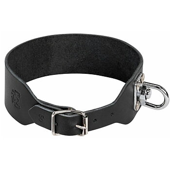 Tracking collar