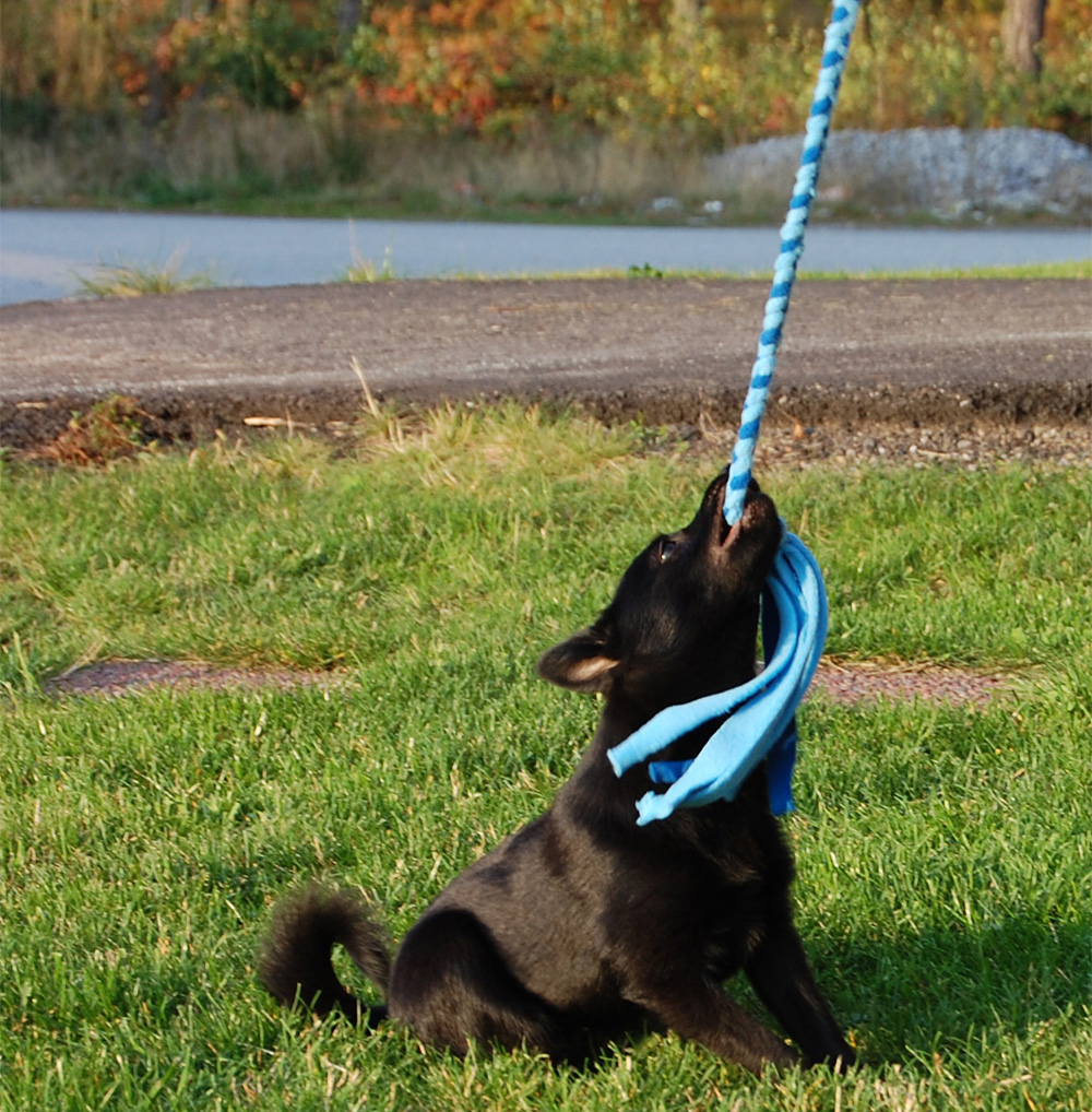 JW mesh ball with Fleece braid - 7