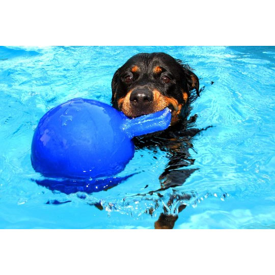 Jolly Tug-n-Toss