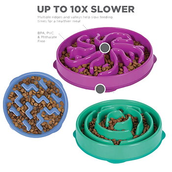 Fun Feeder Slo Bowl
