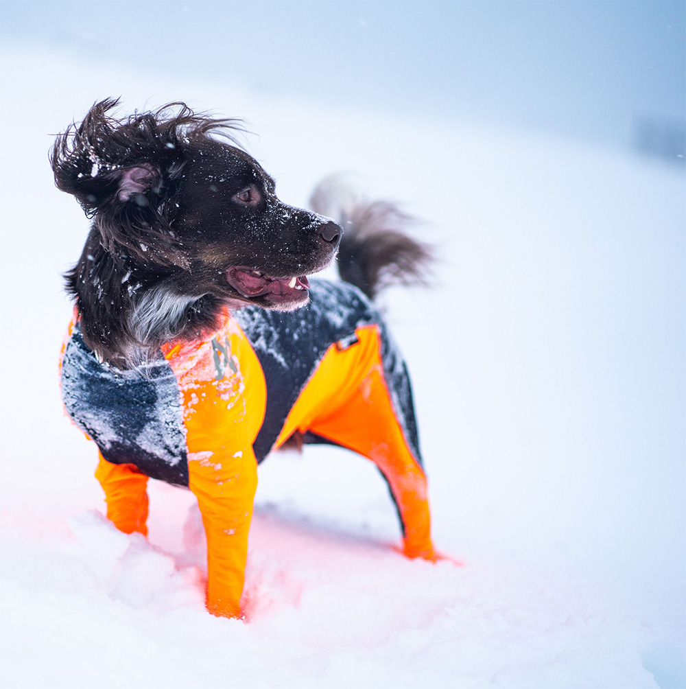 Non-Stop Protector Snow - 4