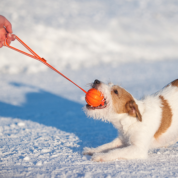 LIKER LINE - boll med band