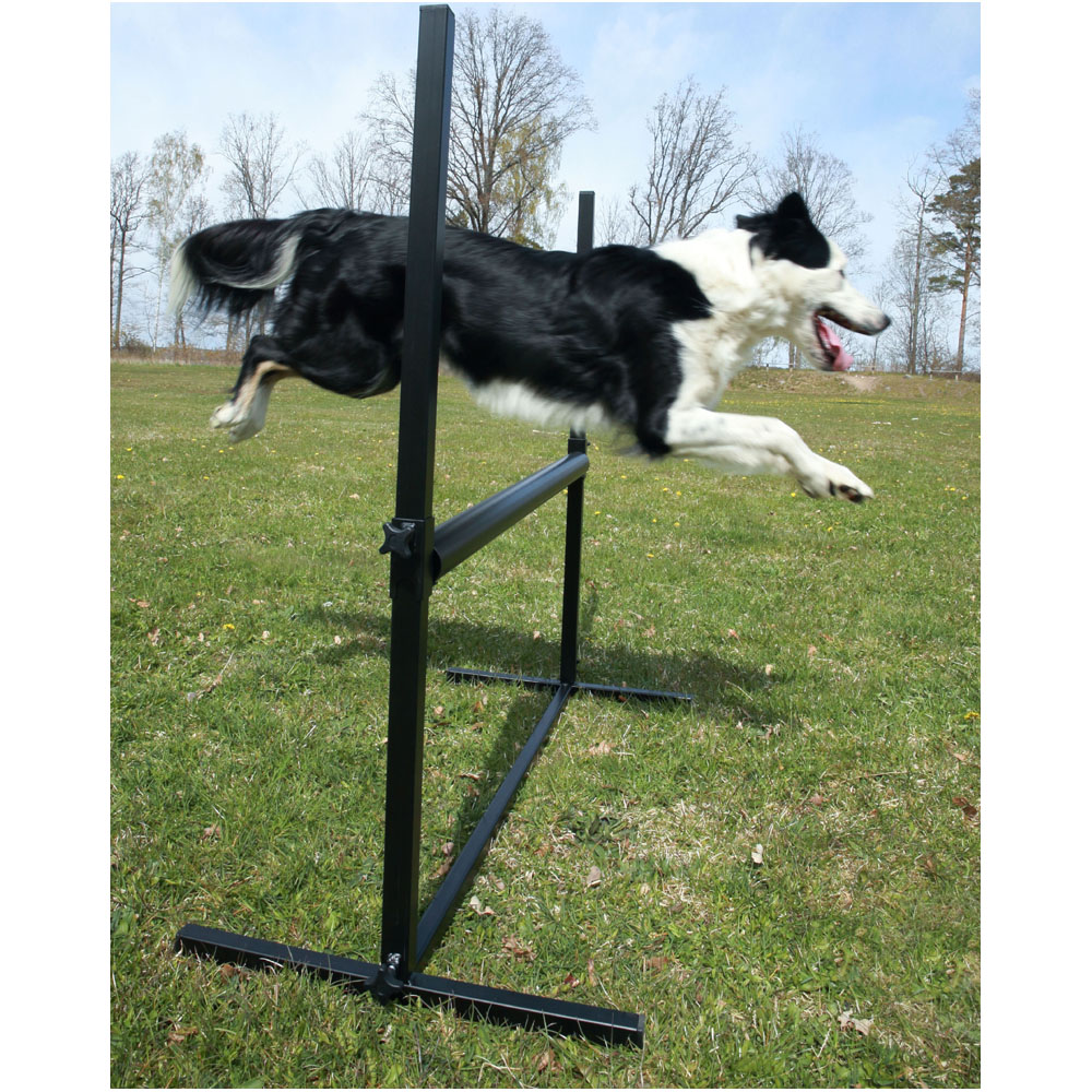 obedience jumps open