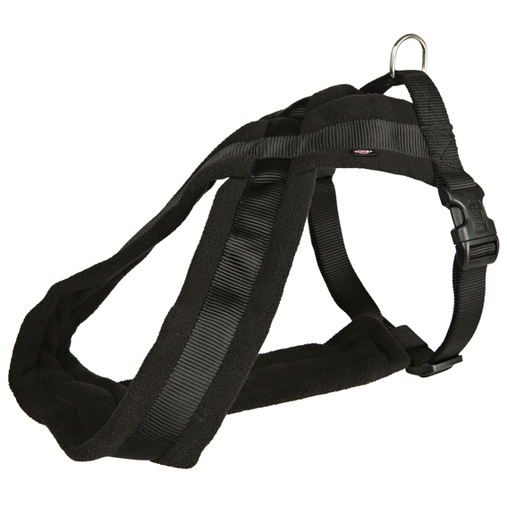 Tracking/biking harness