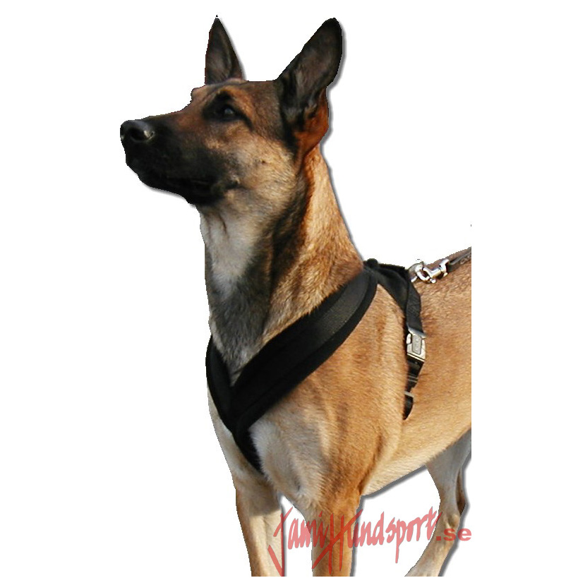 Tracking/biking harness