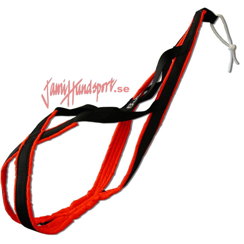 Björkis Nome harness