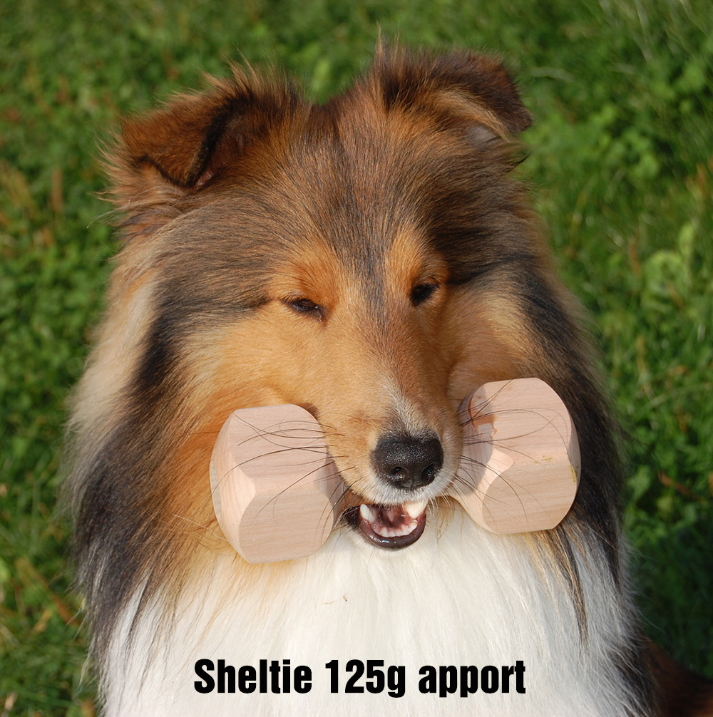 Dumbell  - 2