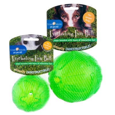 Starmark everlasting fun ball sale