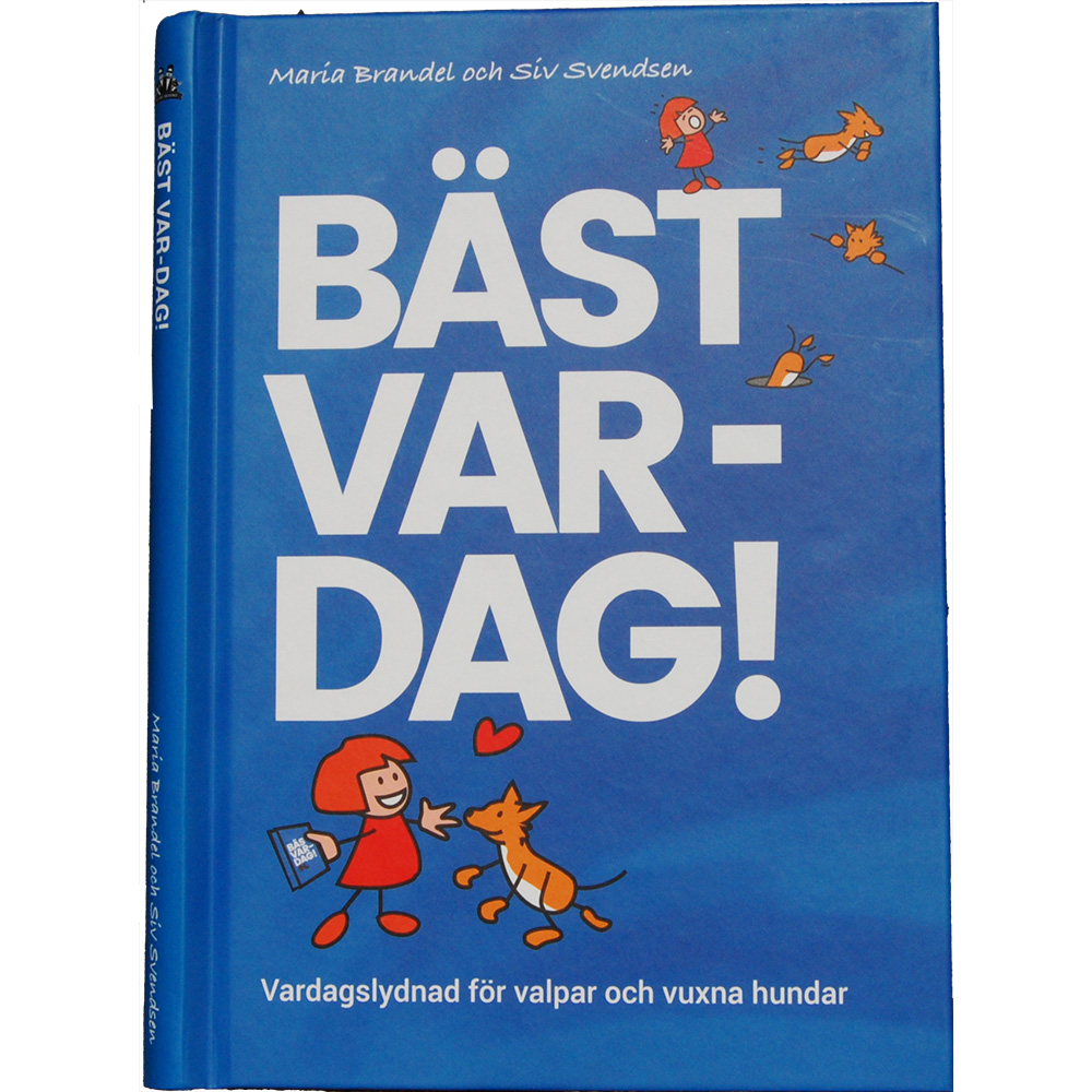 Best Day-everyday