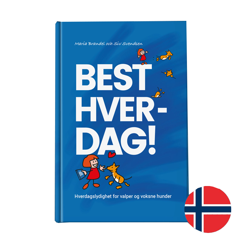 Best Day-everyday