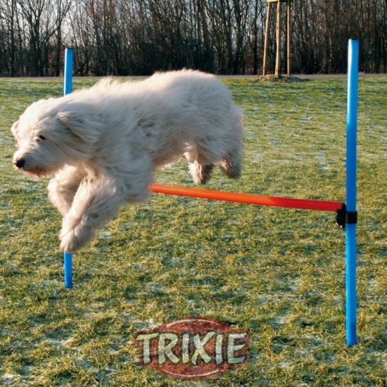 Agility Jump