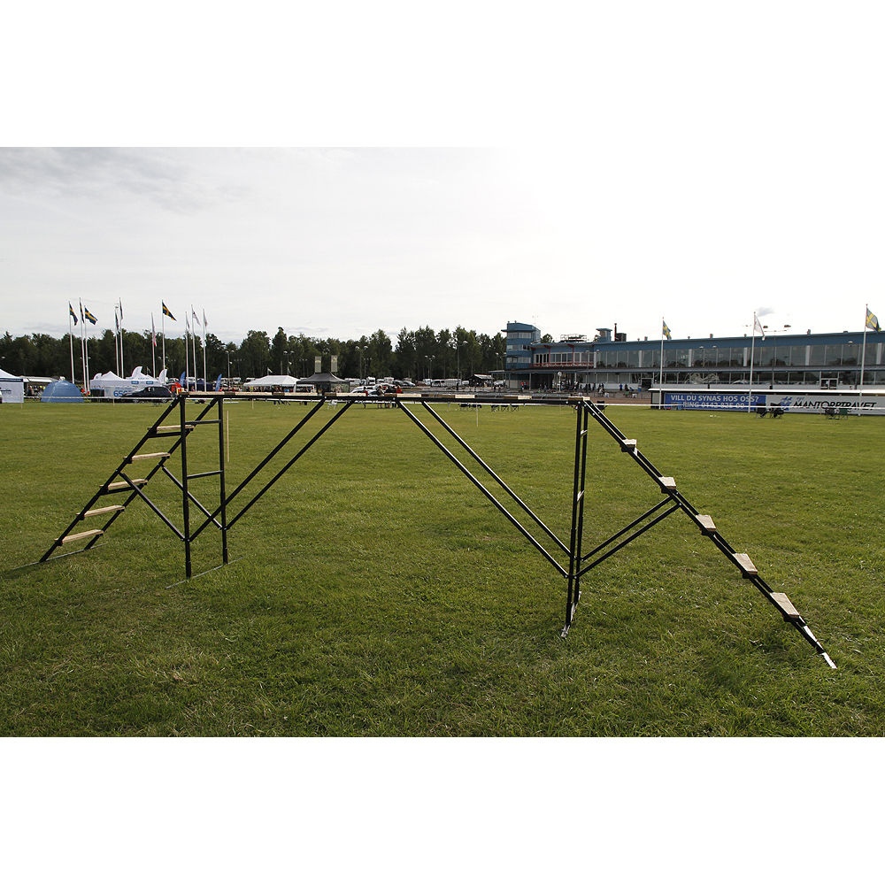 Adjustable competitionladder - 3
