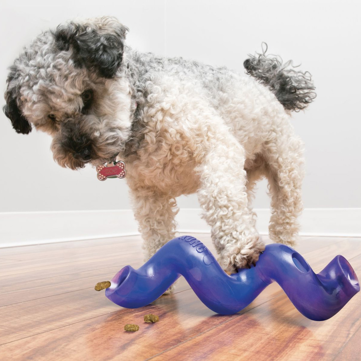 KONG Treat Spiral 